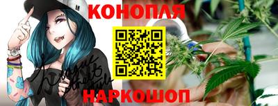 шишки Кингисепп