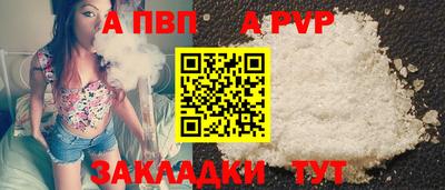 шишки Кингисепп