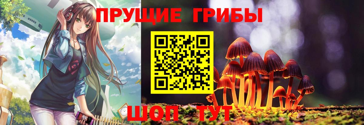 Псилоцибиновые грибы прущие грибы  Вход с VPN  Кудрово 